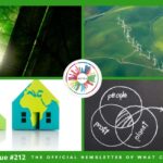 What Can You Do Newsletter